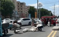 多人哄抢掉地大蒜，遭人呵斥也无济于事……市民：不应占这种小便宜