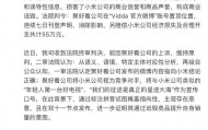 小米胜诉