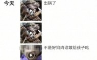 沈阳一店铺老板假借领养名义烹食流浪狗，警方：正在研讨处置