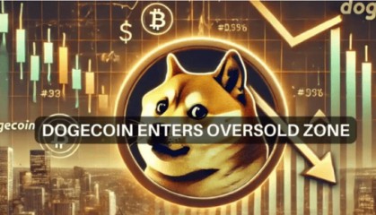DOGE 下跌 15%，埃隆·马斯克宣布“愿亲自支持狗狗币”