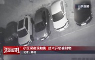 北京一小区深夜惊现魅影！ 北京警方：刑拘！