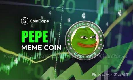 鲸鱼囤币助力 PEPE 币周涨幅逾 80%