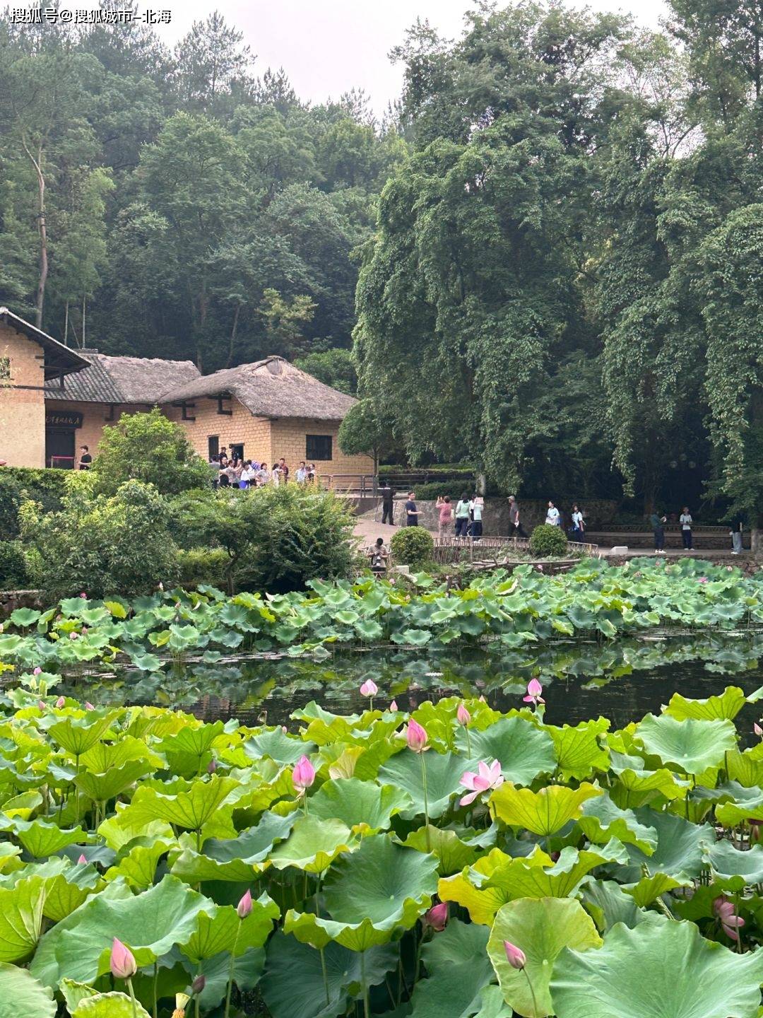 最新十一韶山旅游价格是多少？最新十一去韶山旅行社价格