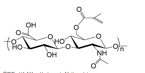 Hyaluronate Methacrylate，透明质酸甲基丙烯酸酯具有较好的交联反应性