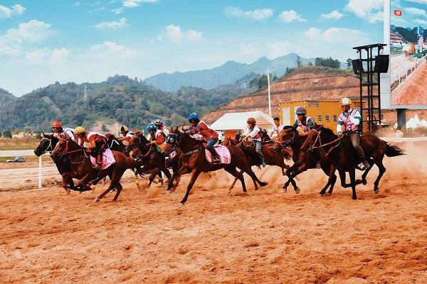 County in Guizhou fuses horse business with ethnic culture｜以赛为媒 打响“贵州村马”IP品牌