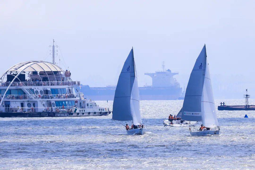 【提示】2025上海邮轮港国际帆船赛本周六正式开赛，这份观赛提示请查收→