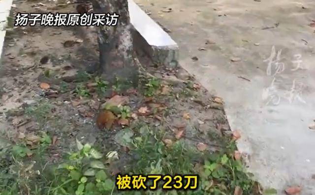 凶手砍死祖孙三代后称吃5年精神病药